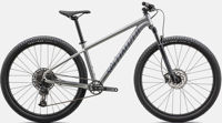 Picture of Specialized Rockhopper Expert KH 29 2025 SATIN SILVER DUST / BLACK HOLOGRAPHIC size S-M- L-XXL